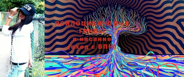 прущая мука Алексин